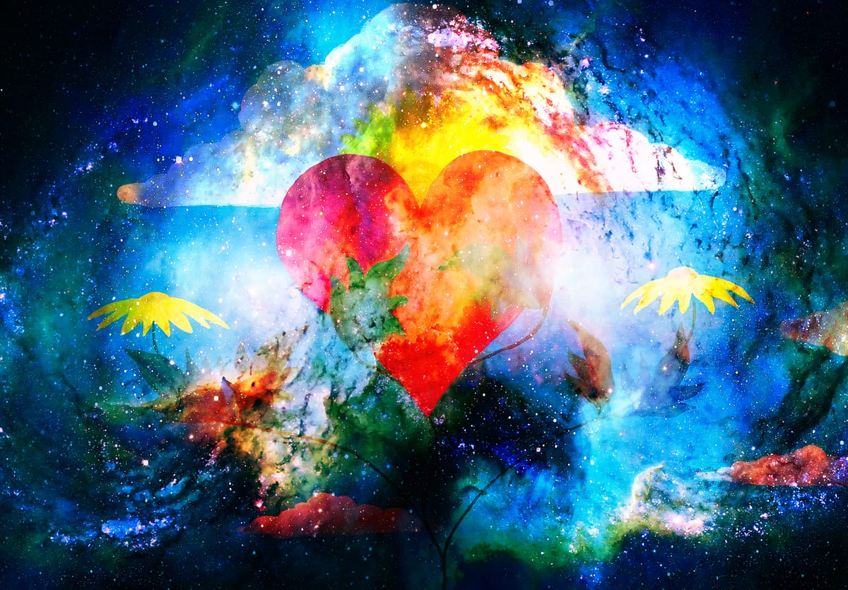 The Heart of Activism